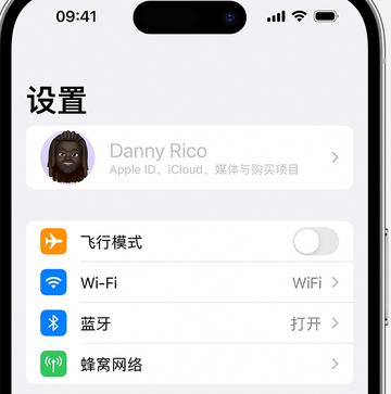 麻城appleID维修服务iPhone设置中Apple ID显示为灰色无法使用 