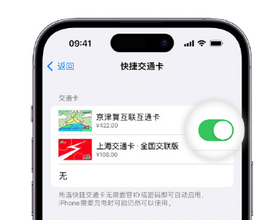 麻城apple维修点分享iPhone上更换Apple Pay快捷交通卡手绘卡面 