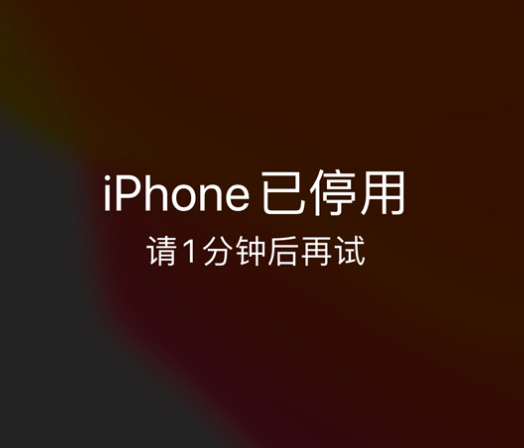 麻城苹果手机维修分享:iPhone 显示“不可用”或“已停用”怎么办？还能保留数据吗？ 