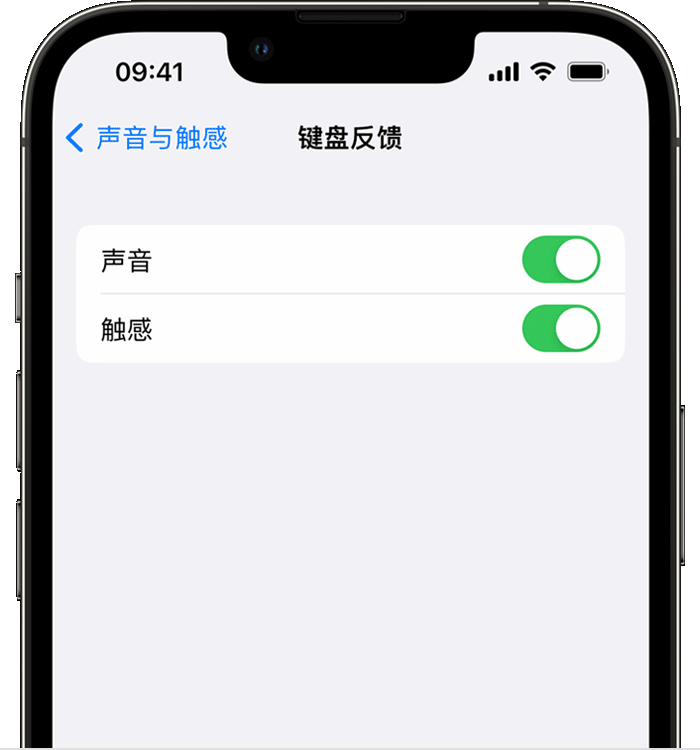 麻城苹果14维修店分享如何在 iPhone 14 机型中使用触感键盘 