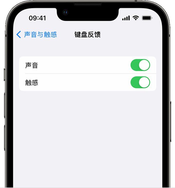 麻城苹果14维修分享iPhone 14 系列机型如何开启键盘声音或触感反馈 