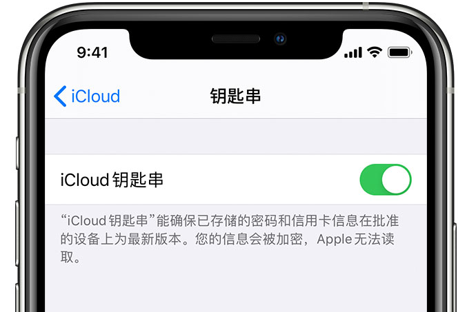 麻城苹果手机维修分享在 iPhone 上开启 iCloud 钥匙串之后会储存哪些信息 