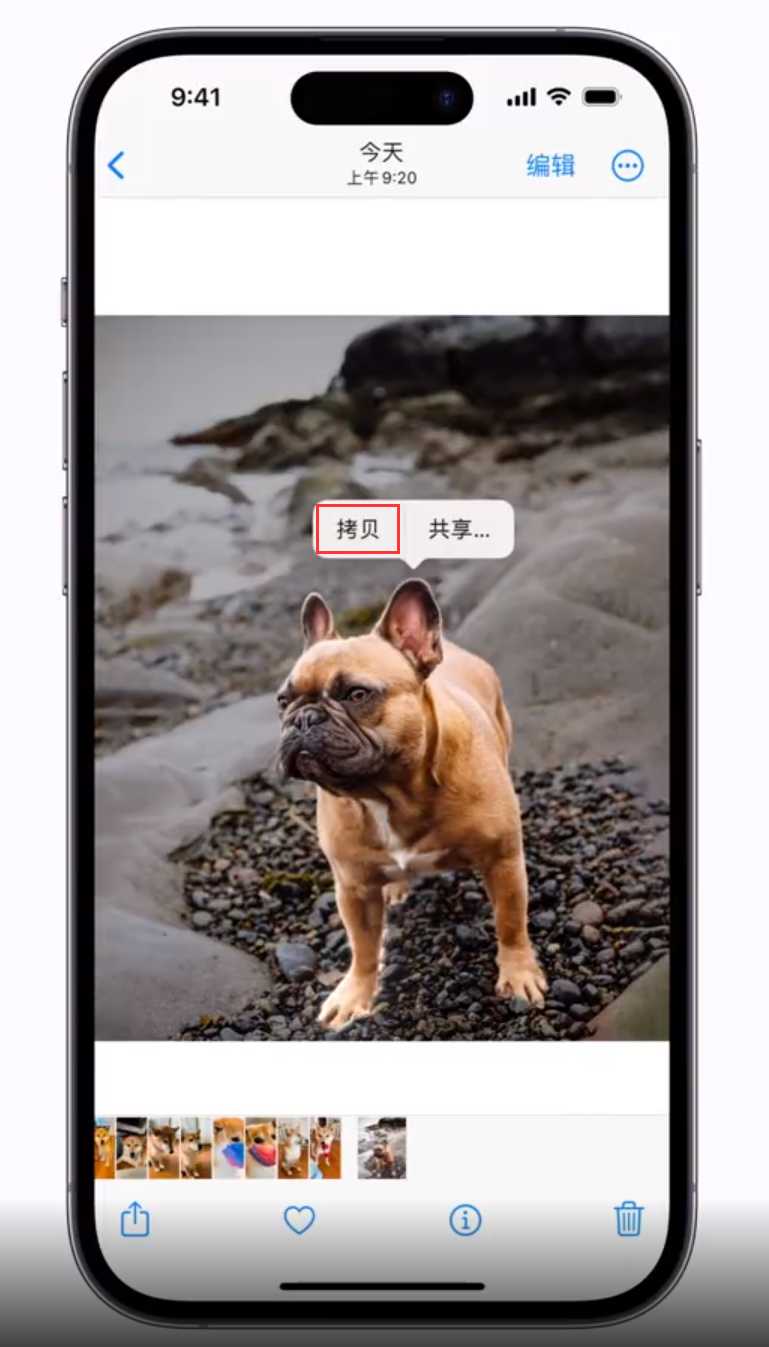 麻城苹果手机维修分享 iOS 16 自带一键抠图功能 