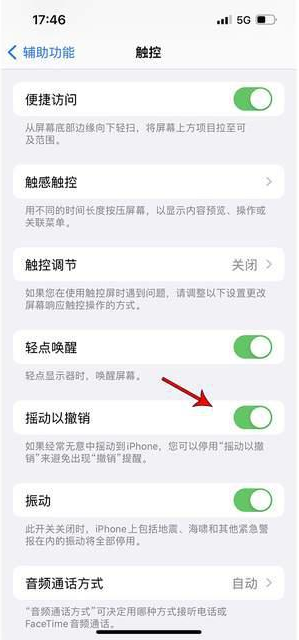 麻城苹果手机维修分享iPhone手机如何设置摇一摇删除文字 