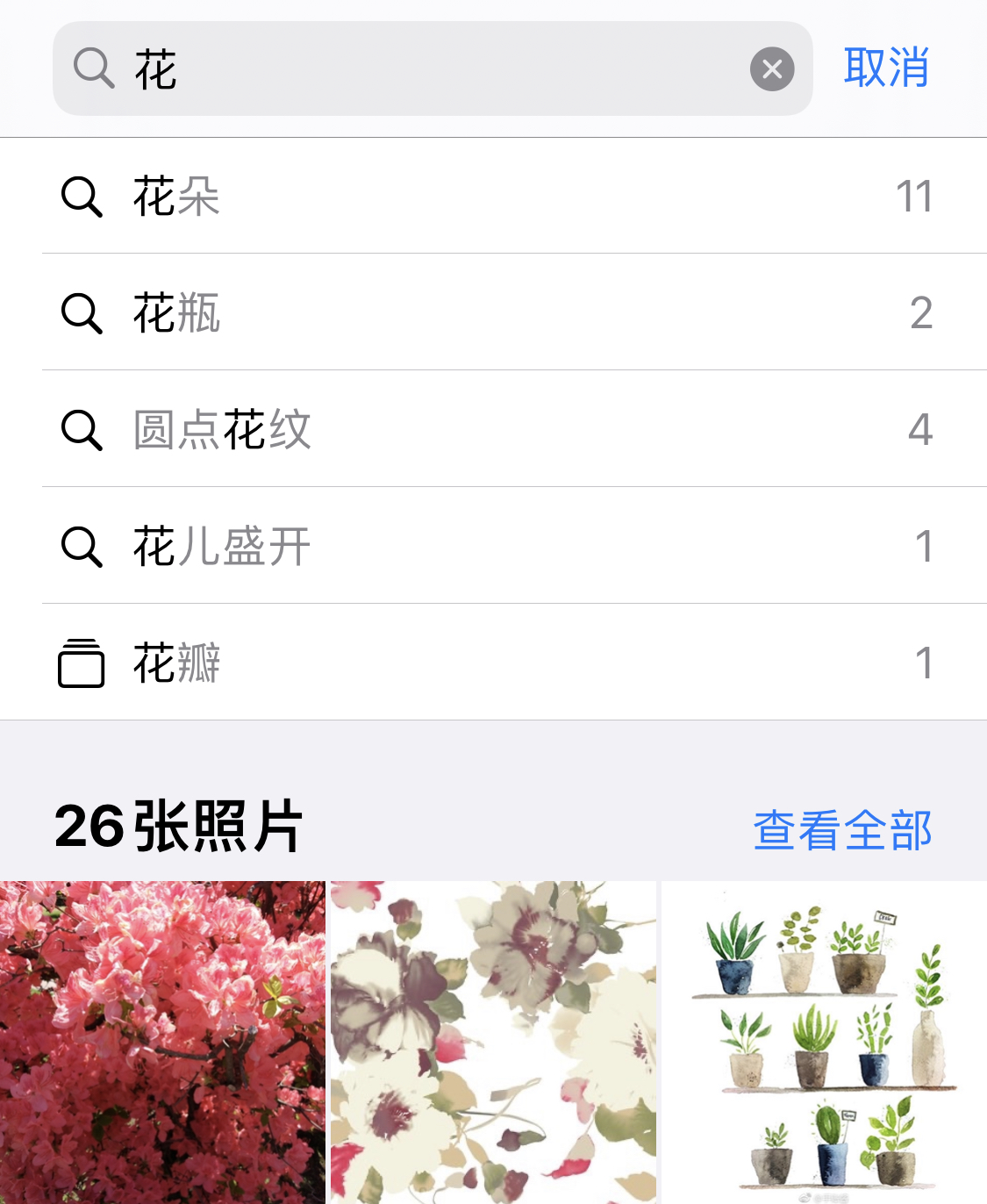 麻城苹果手机维修分享iPhone 小技巧 