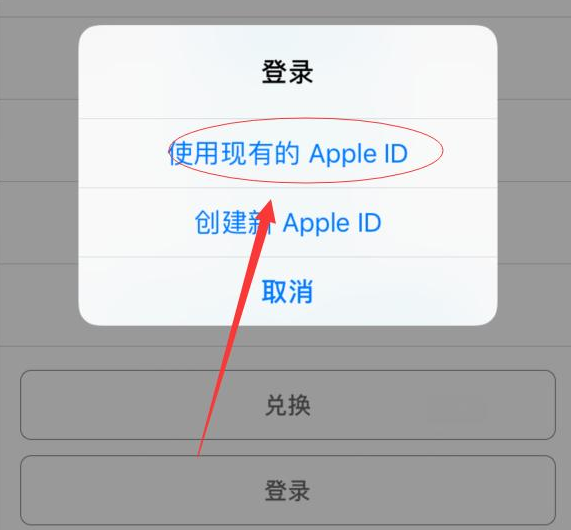 麻城苹果手机维修分享两台iPhone设备可以同时登录一个Apple ID吗 
