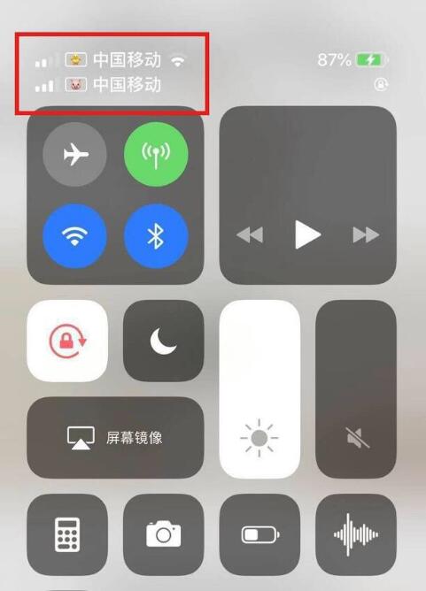 麻城苹果手机维修分享为 iPhone 12 双卡设置标签 