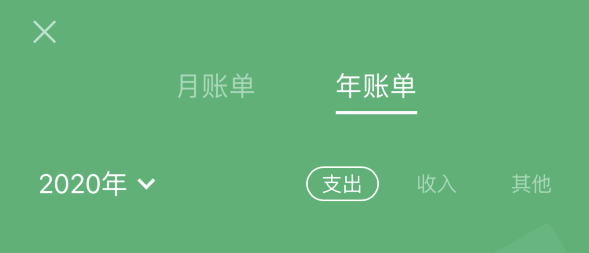 麻城苹果手机维修分享如何在 iPhone 上查看支付宝和微信年支出账单 
