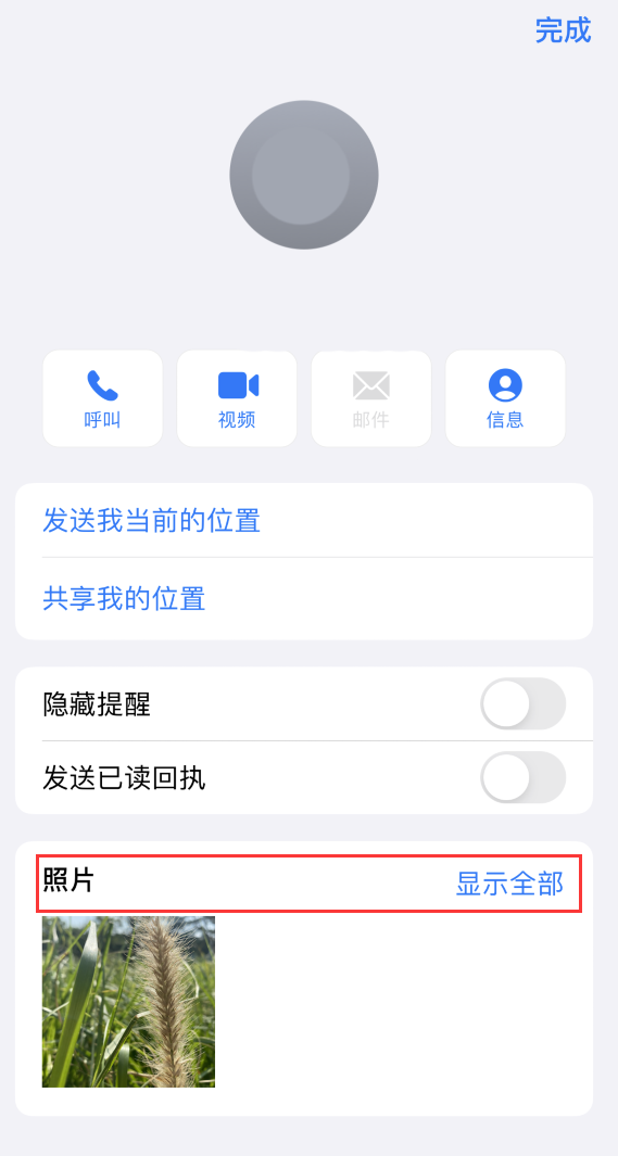 麻城苹果手机维修分享如何快速查找 iMessage 信息中的图片等附件 